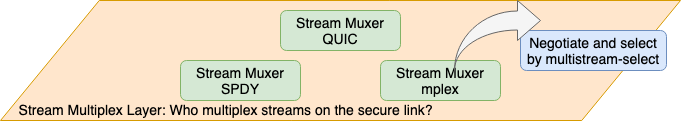 Stream Multiplex Layer